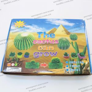Игрушка Выращивание кактусов 48шт/уп (код 13118) 326.56 грн. Детские товары оптом купить украина
