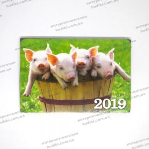 Магниты символ 2019г/разные картинки 9*6см (20шт/уп) (код 14892)